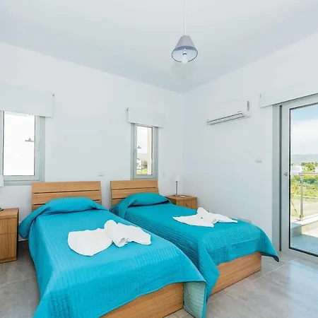 Villa Demitrios Vine *